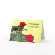 Polish Birthday Greeting Card Sto Lat Roses Photo by SmilinEyesTreasures Polish Birthday Greeting Card Sto Lat Roses Photo