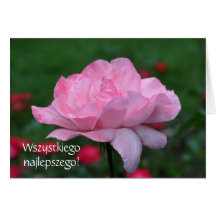 Polish Birthday Sto Lat Pink Rose Floral Card