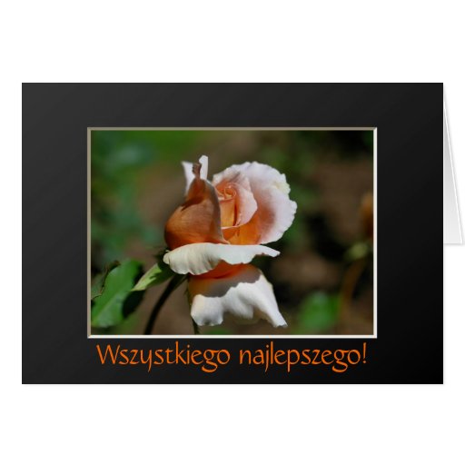 Polish Happy Birthday Cards, Polish Happy Birthday Card Templates, Postage, Invitations ...