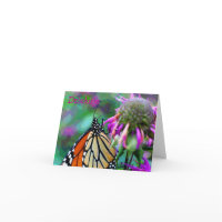 Polish Butterfly Nature Photo Thank You Card card