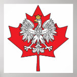 Polish Canadian Maple Leaf posters