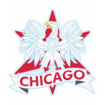 Polish Chicago Flag Star Shirt