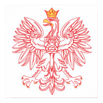Polish Eagle Outlined In Red posters