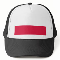 Polish Hat by Dustbuster Polish Hat
