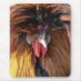 Polish Roo Mousepad
