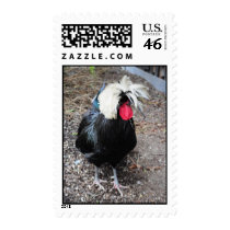 Polish Rooster Stamps