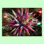 Polish Star Christmas Greeting Card cards