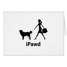 Polish Tatra Sheepdog Card