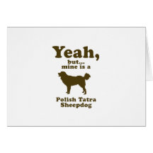 Polish Tatra Sheepdog Card