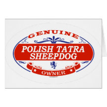Polish Tatra Sheepdog  Cards