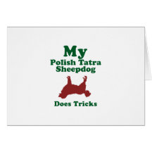 Polish Tatra Sheepdog Greeting Card