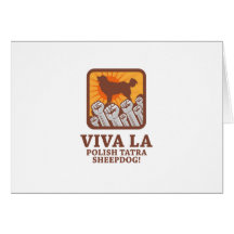 Polish Tatra Sheepdog Greeting Card