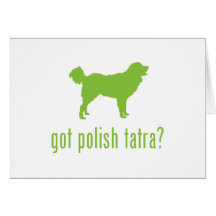 Polish Tatra Sheepdog Greeting Cards