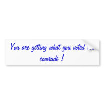 political opinion bumper stickers