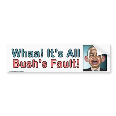 Political "Whaa It's Bush's Fault" Sticker Bumper Stickers