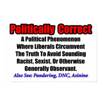 Politically Correct posters