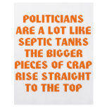 Politicians Like Septic Tanks Big Pieces Of Crap flyers