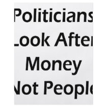 Politicians Look After Money Not People Custom Flyer