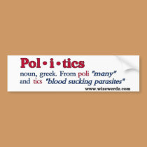 Politics bumper sticker bumper stickers