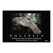 Politics Poster posters