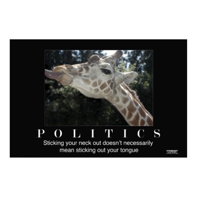 Politics Poster by stoneart
