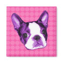 Polka Dot Boston Terrier Puppy Magnet by jupiterkitten Polka Dot Boston Terrier Puppy Magnet
