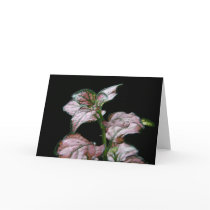 Polka Dot Plant Portrait Greeting Card by james_orear2 Polka Dot Plant Portrait Greeting Card