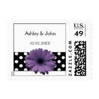 polka dots violet gerbera stamps