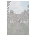 Pollarded lime guard of honor, St. Michael and All Customized Stationery