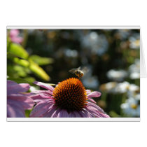 Pollen cards