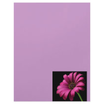 Pollen Custom Letterhead