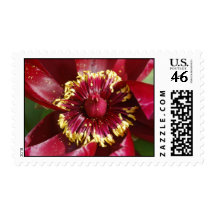 Pollen Stamp