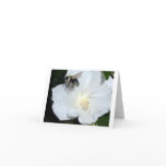 Pollinating bee note card