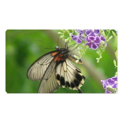 Pollinating Butterfly Business Card (back side)