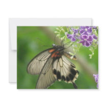 Pollinating Butterfly Invitation