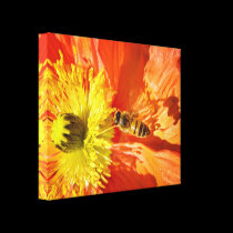Pollination in Orange and Yellow canvas wrap canvas prints