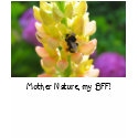 Pollination!  It's a good thing! T-shirt