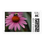 Pollination Postage