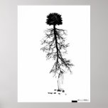 Pollution | Tree Posters