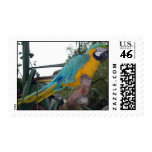Polly Stamps