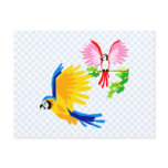Polo and Poli Parrot Post Card