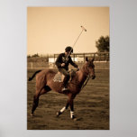 Polo dreams posters