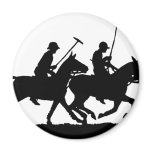 Polo magnets