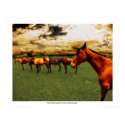 Polo Ponies posters by obscuro Polo Ponies posters