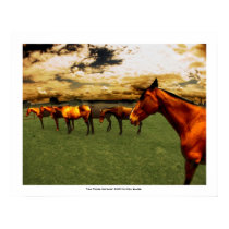 Polo Ponies posters by obscuro Polo Ponies posters