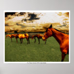Polo Ponies posters