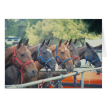 Polo Pony String cards by HorseLoversGifts Polo Pony String cards