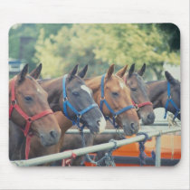 Polo Pony String mousepads by HorseLoversGifts Polo Pony String mousepads