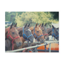 Polo Pony String Post Card