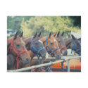 Polo Pony String postcards by HorseLoversGifts Polo Pony String postcards